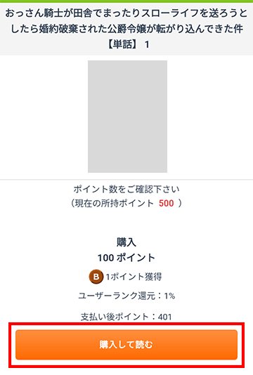 購入して進む